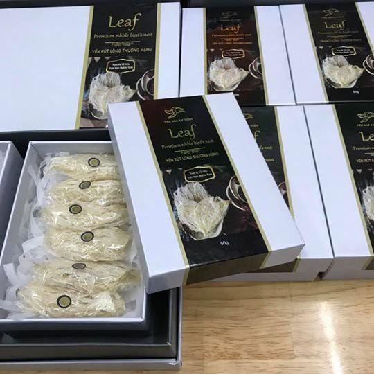 Yến Sào Xuất Khẩu - Leaf - Premium edible bird's nest