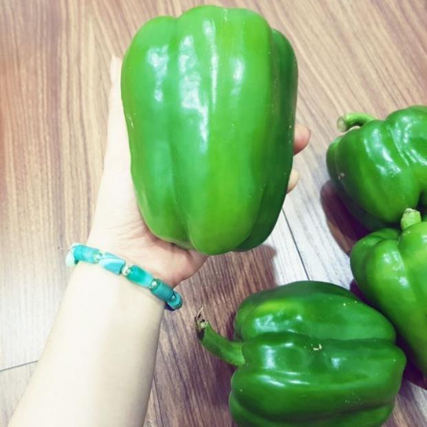 Sản phẩm ỚT NGỌT ĐÀ LẠT CÂY ĐANG SẴN QUẢ