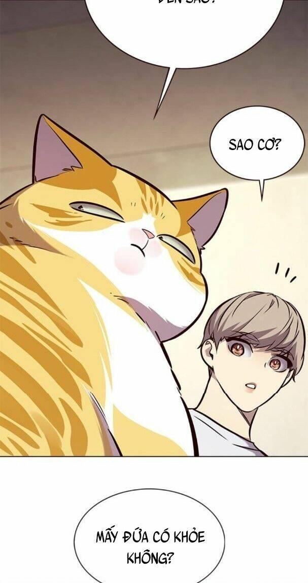 biến thân thành mèo chapter 176 60