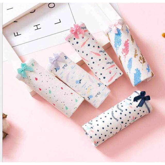Set 5 quần lót cotton túi zip siêu đáng yêu