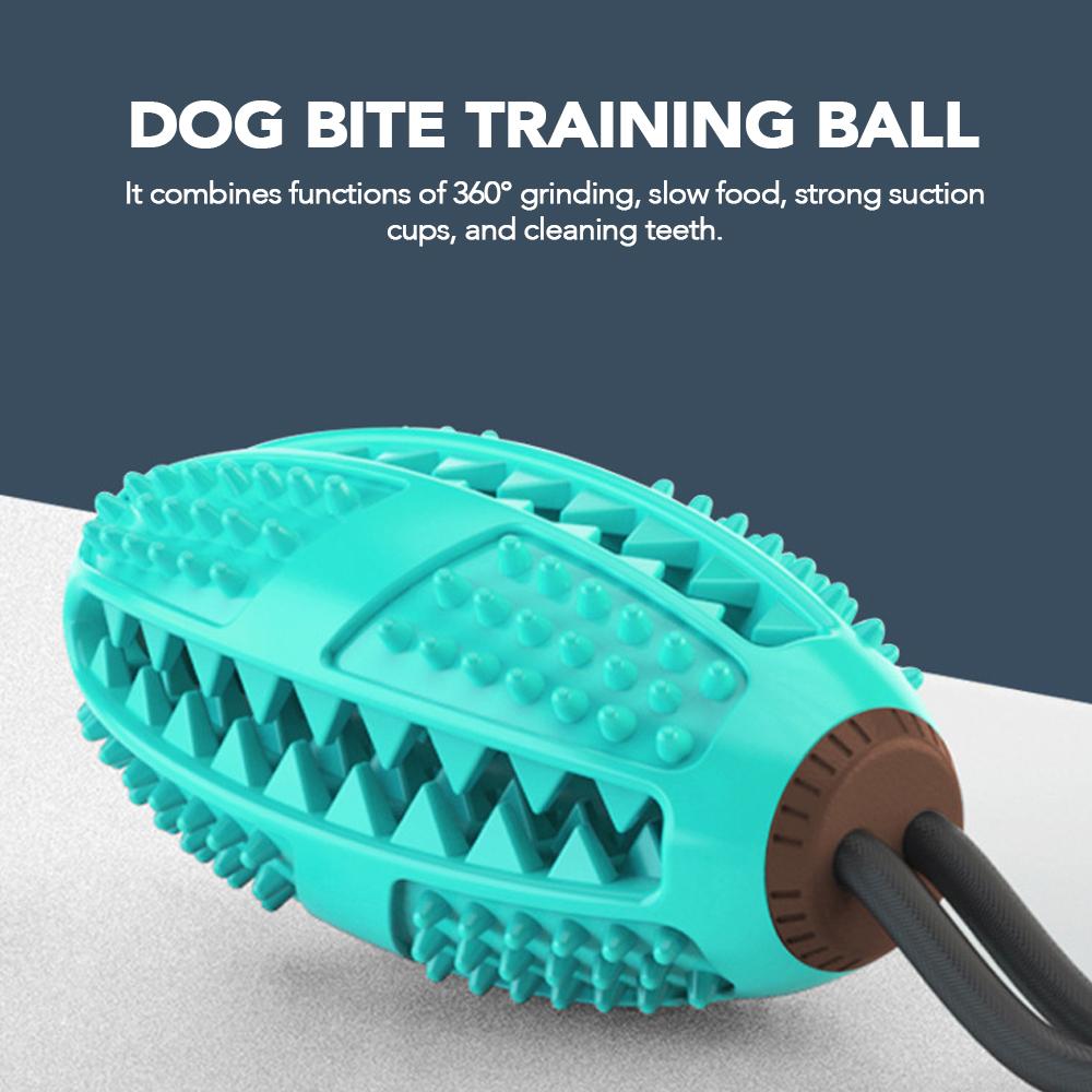 Đồ chơi, huấn luyện thú cưng hình quả bóng