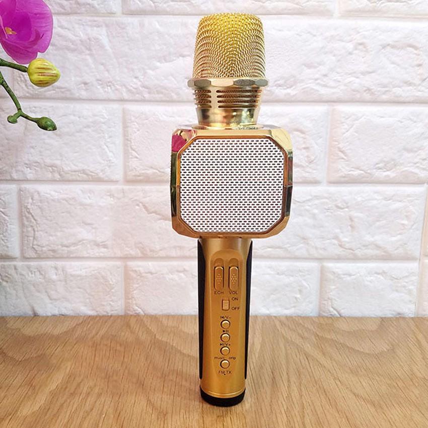 Micro Karaoke Bluetooth SD-10