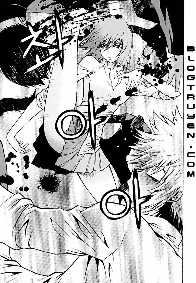 zippy ziggy chapter 55 8