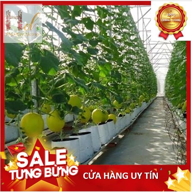 Túi Ươm Cây 2 Da, Túi Nilon Trồng Dưa Lưới, Dưa Leo, Dưa Lê, Cà Chua, Cà Rốt 20x40cm - 16 cái - 0.5Kg
