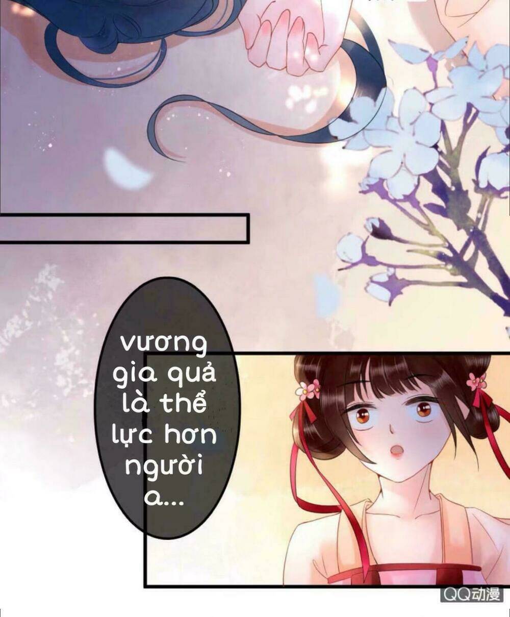 sủng phi của vương chapter 29 12