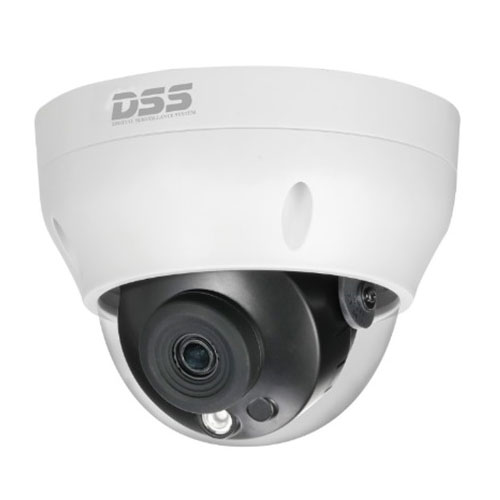 Camera IP Dome hồng ngoại 4.0 Megapixel DAHUA DS2431RDIP-S2 - Hàng Chính Hãng
