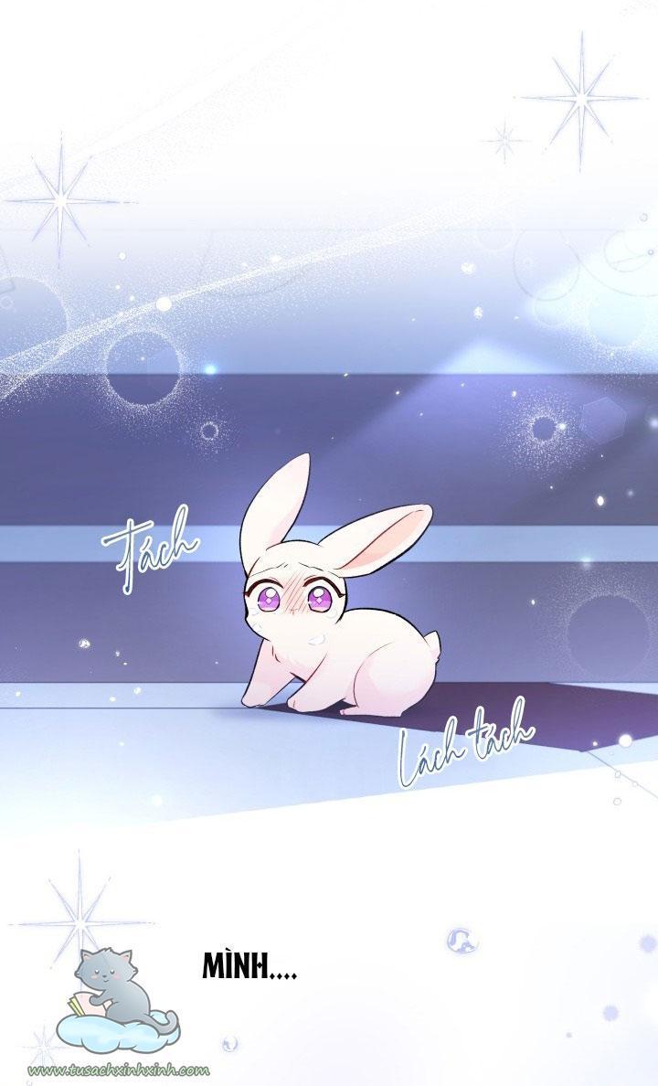 quan hệ cộng sinh giữa báo đen và thỏ trắng chapter 58 56