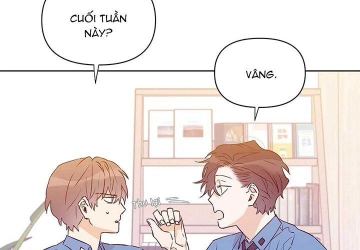 guide cấp b chapter 31 16