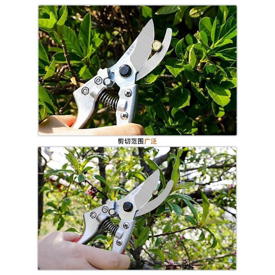KÉO CẮT CÀNH CHUYÊN DỤNG NHẬT BẢN SK5 SADA-210 - TẶNG KÈM 1 LÒ XO