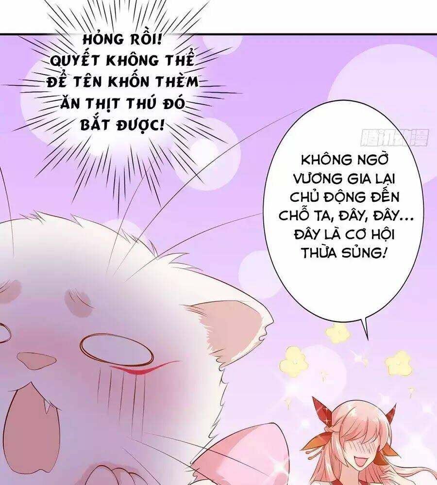 dưỡng thú vi phi chapter 1 107