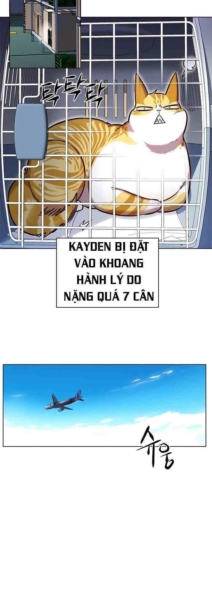 biến thân thành mèo chapter 231 21