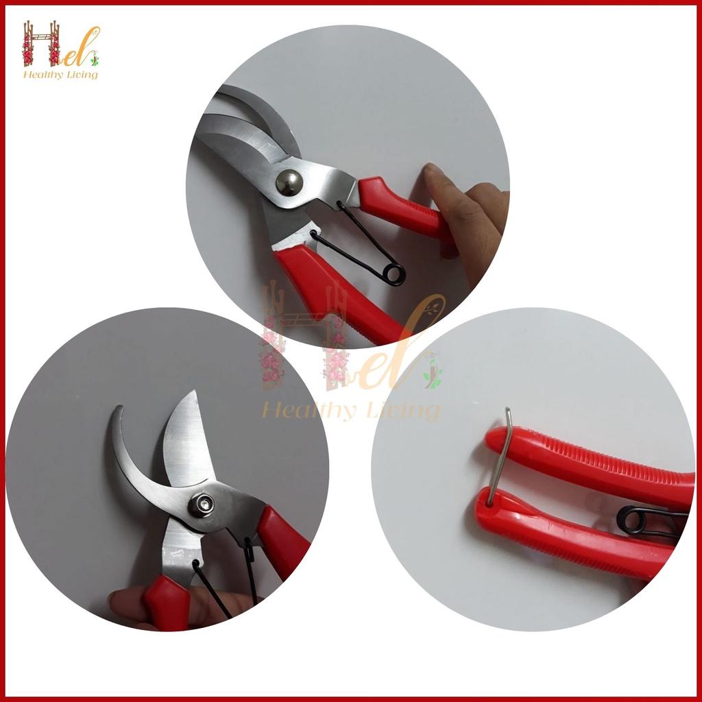 Kéo Cắt Tỉa Cành Cây, Kìm Tỉa Cây , Kéo Cộng Lực Cắt Cành SK-1 Nhập Khẩu, Kéo Cắt Tỉa Bonsai