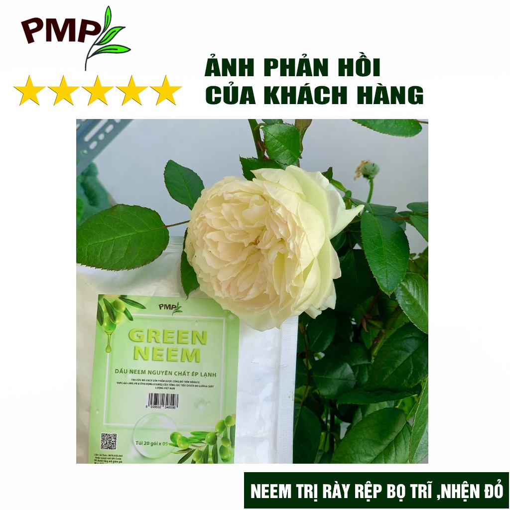 Dầu Neem Oil Hữu Cơ PMP Nguyên Chất Loại Bỏ Trĩ, Rệp, Nhện Đỏ, Nấm, Sâu Bệnh Cho Hoa Hồng, Rau Củ Green Neem 50ml-100ml