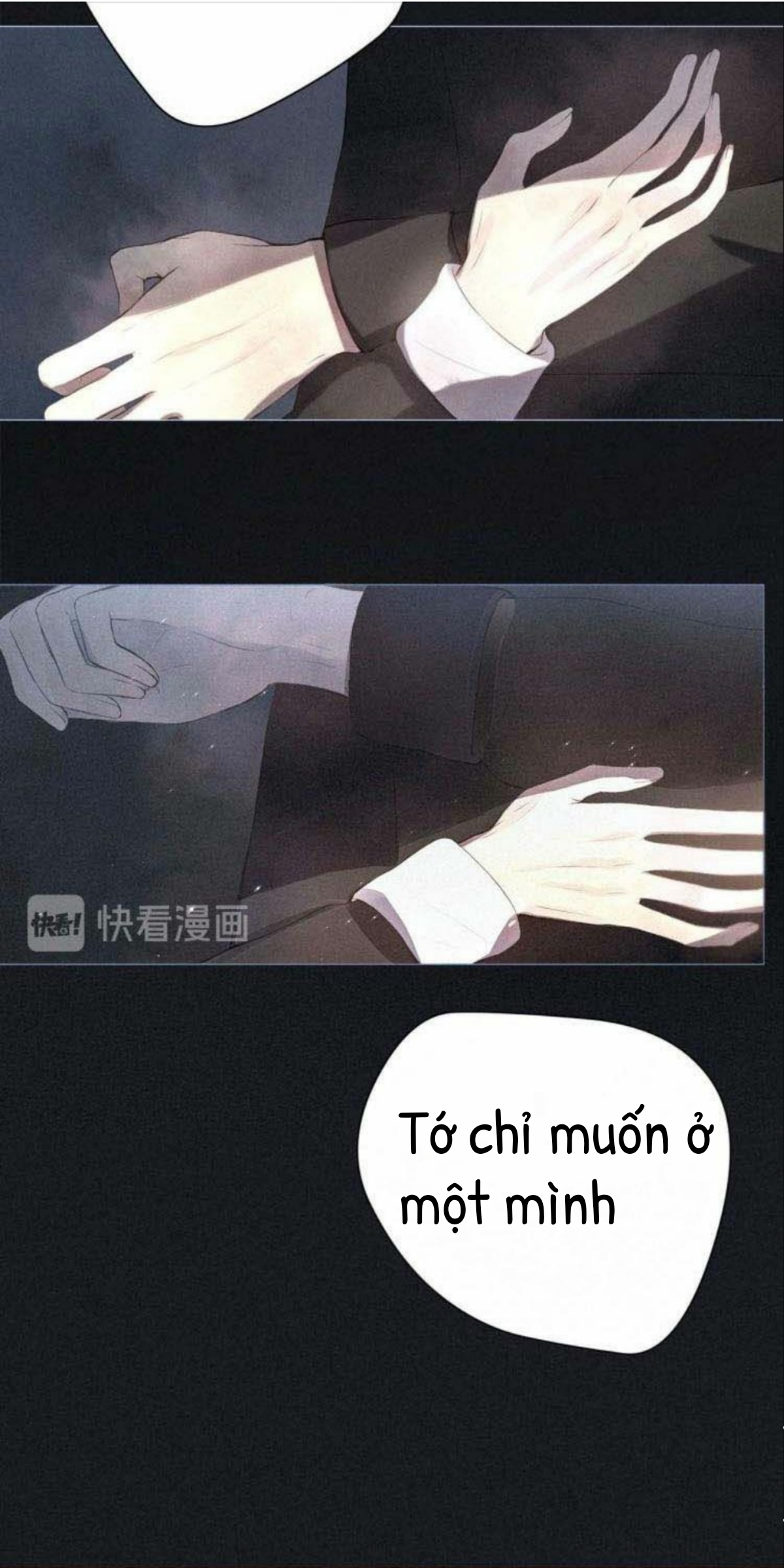 nỗi buồn của hoa cẩm tú cầu chapter 19 7