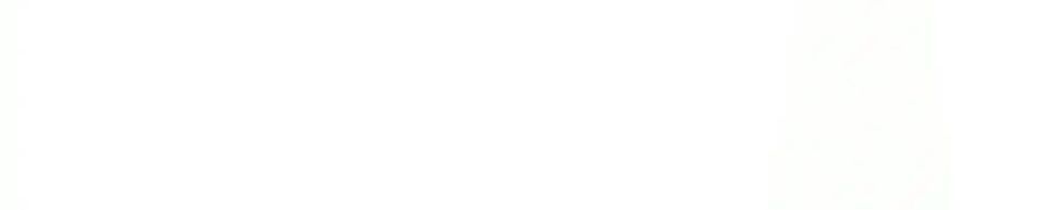 Kim Chủ Đế chapter 5.6 14