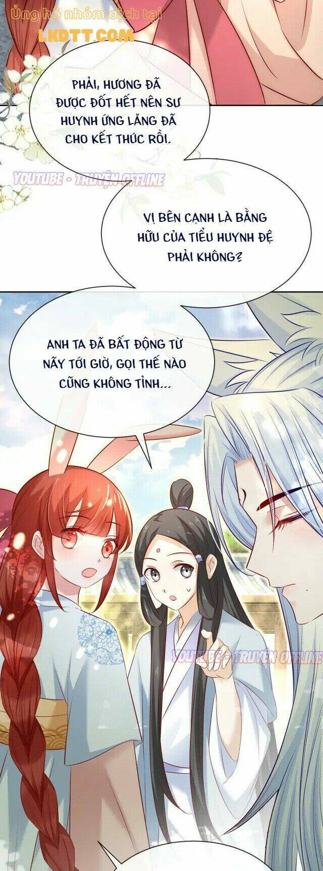 hắc hóa nam chính trực tuyến nuôi thỏ chapter 27 31