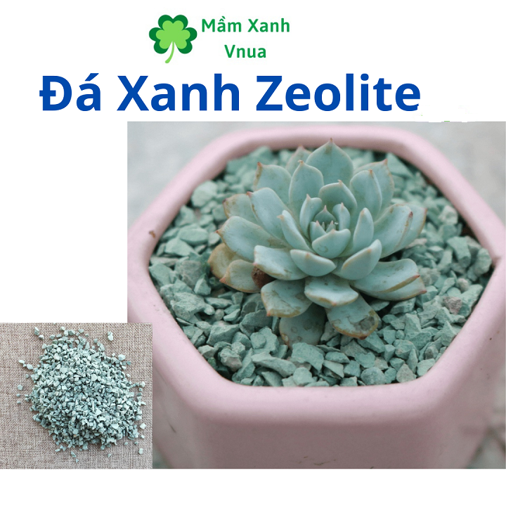 200Gr - Đá Trồng Sen Đá Zeolite giữ nước, giữ ẩm và giữ phân bón mang dinh dưỡng cho bộ rễ