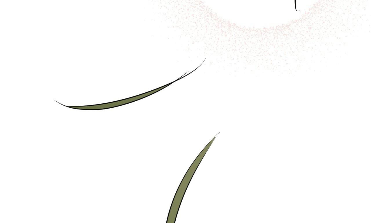 đàn thỏ của habibi chapter 39 14