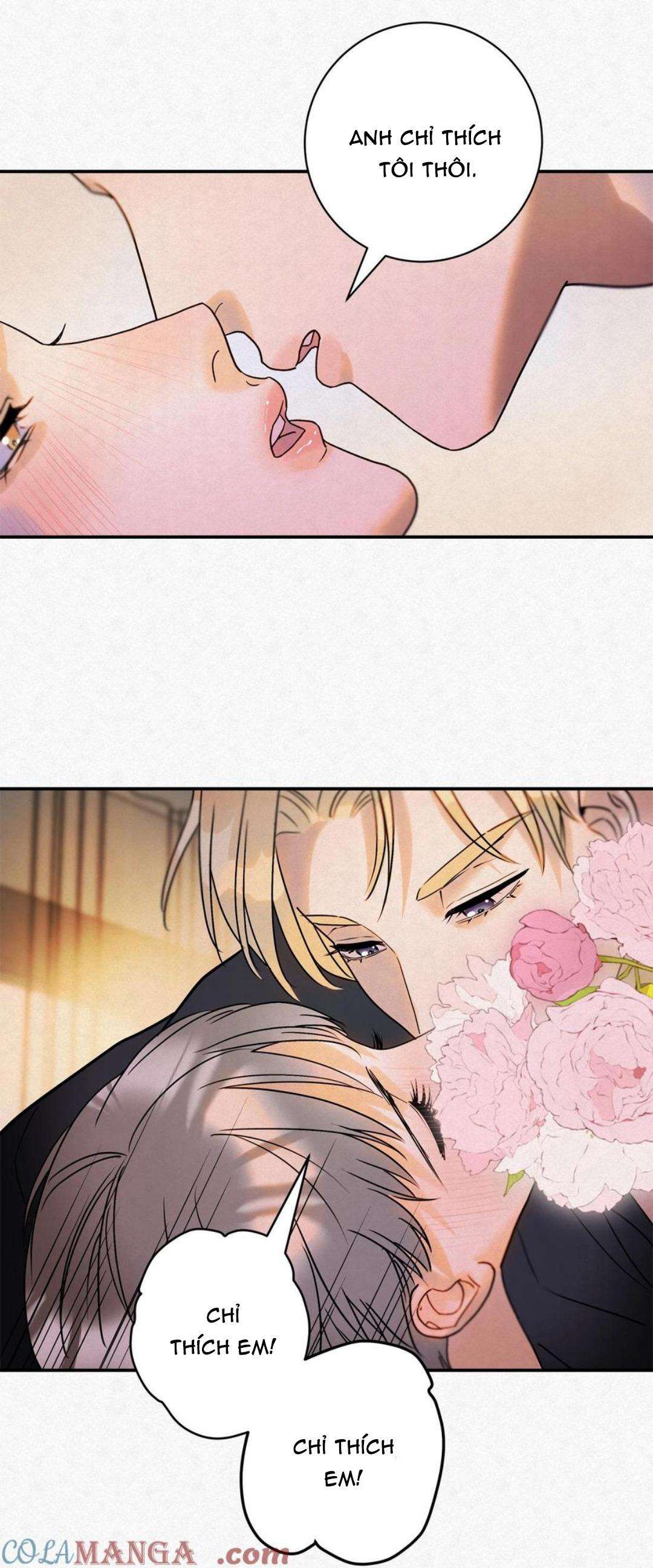 anh trai rẻ tiền của tôi chapter 14 5