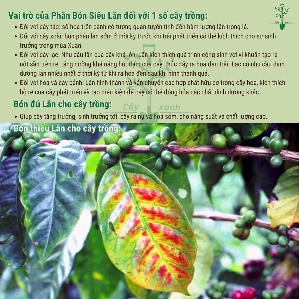 Phân Bón Lá Siêu Lân Đỏ Hà Lan - Ra rễ cực mạnh, chống rét, chịu hạn, Hạ phèn, giải độc hữu cơ.