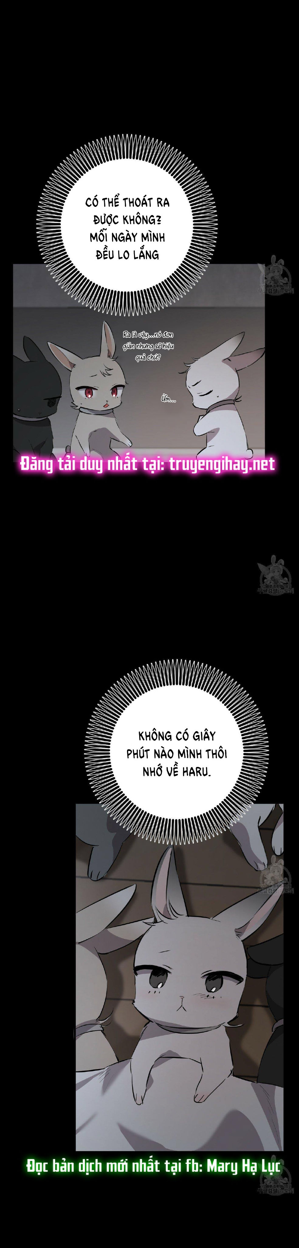 những chú thỏ của hapypy chapter 52.1 7