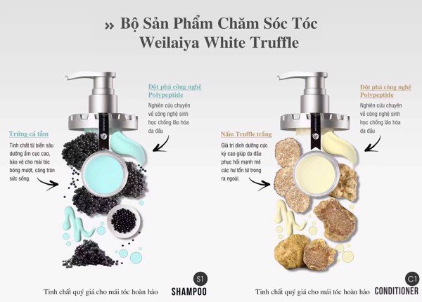 Dầu gội phục hồi đa tầng nấm Truffle Weilaiya