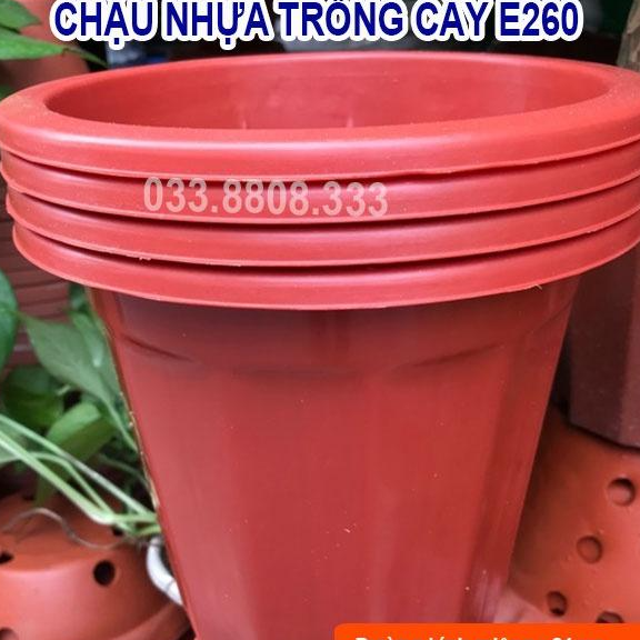 10 Chậu Nhựa Nâu Trồng Cây E260 - Chậu Bền Đẹp