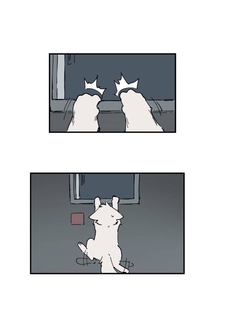 lumine - cội nguồn ánh sáng chapter 155 8