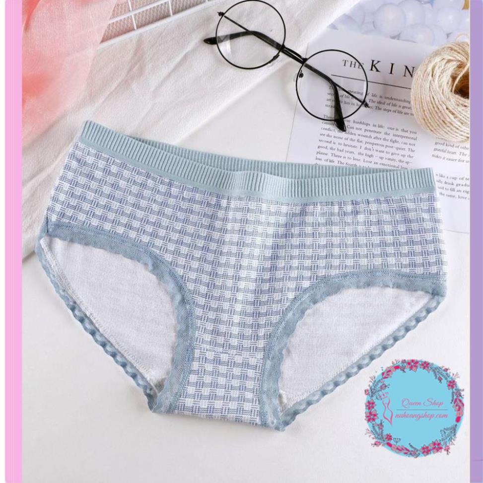 Quần Lót Cotton Sợi Bông Co Giãn Kháng Khuẩn DL101