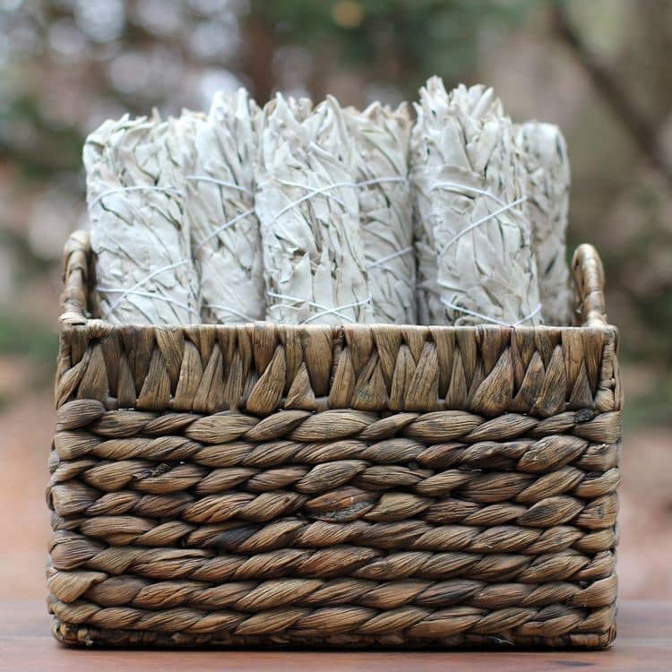 Lá xô thơm (white sage hay sage trắng)