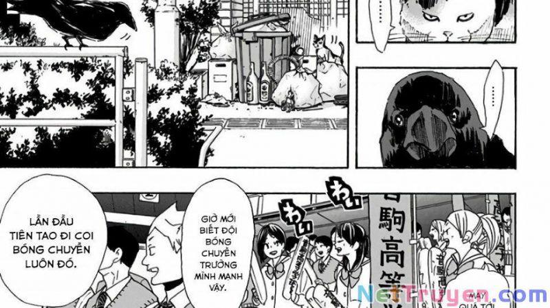 vua bóng chuyền chapter 294 3