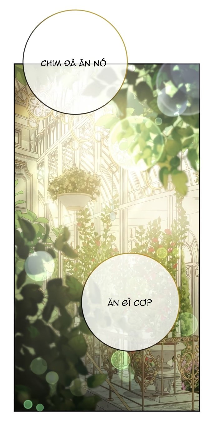 phía sau nụ cười của nàng công chúa sống sót chapter 15.1 10