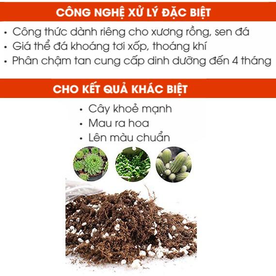 Đất trồng sen đá xương rồng chuyên dụng trộn sẵn - Đất chuyên dụng cho cây mọng nước 500gr