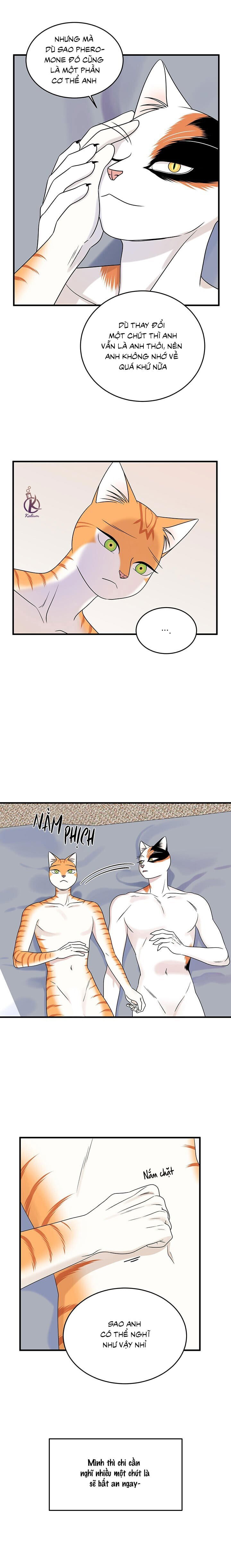 dự án xanh chapter 49 2