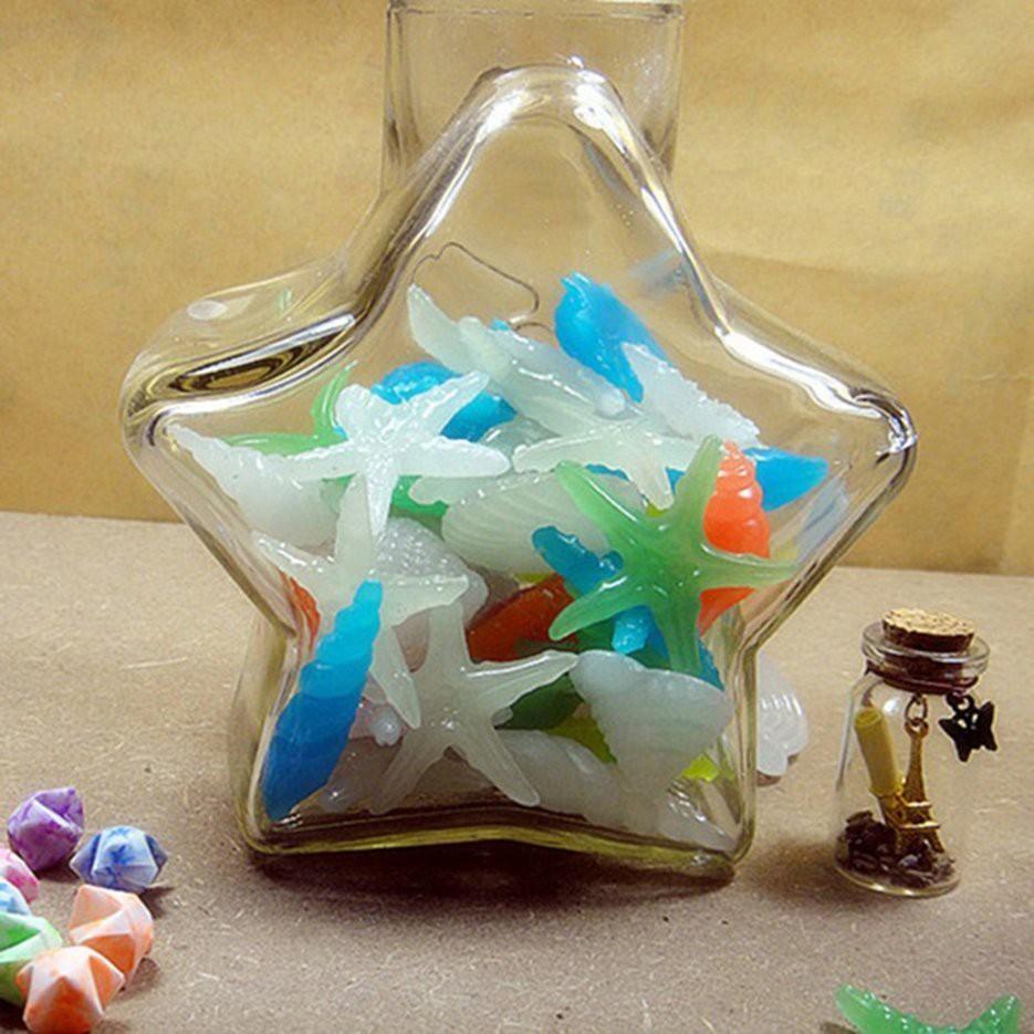 Vỏ sò đá dạ quang-rẻ rẻ