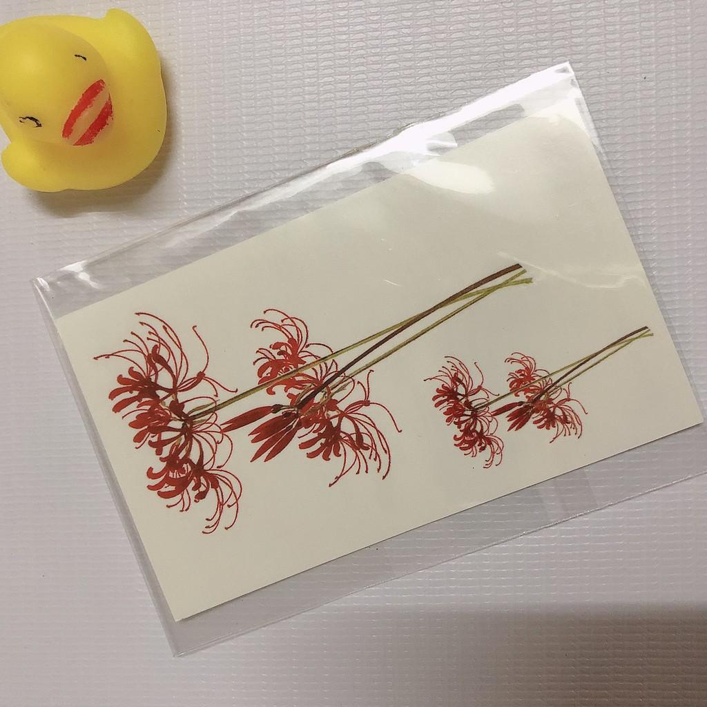 COMBO 5 TẤM HÌNH XĂM DÁN 10X6CM HOA BỈ NGẠN TRỌN TÌNH - CHỌN MẪU TÙY THÍCH