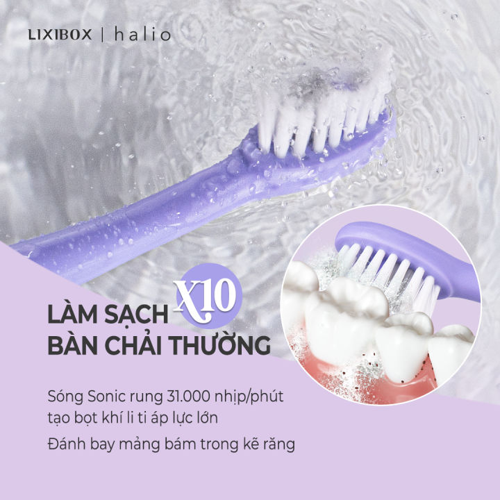 Combo Bàn Chải Điện Làm Trắng Răng Halio Sonic Whitening Electric Toothbrush PRO ( Periwinkle &amp; Midnight Blue)