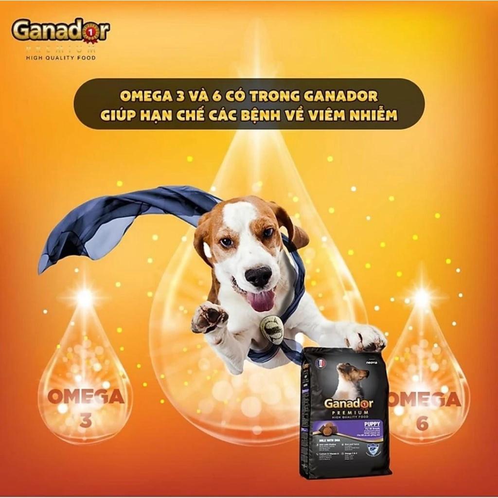 Thức ăn Ganador cho chó con vị Sữa và DHA - Puppy Milk with DHA bao xá 10kg