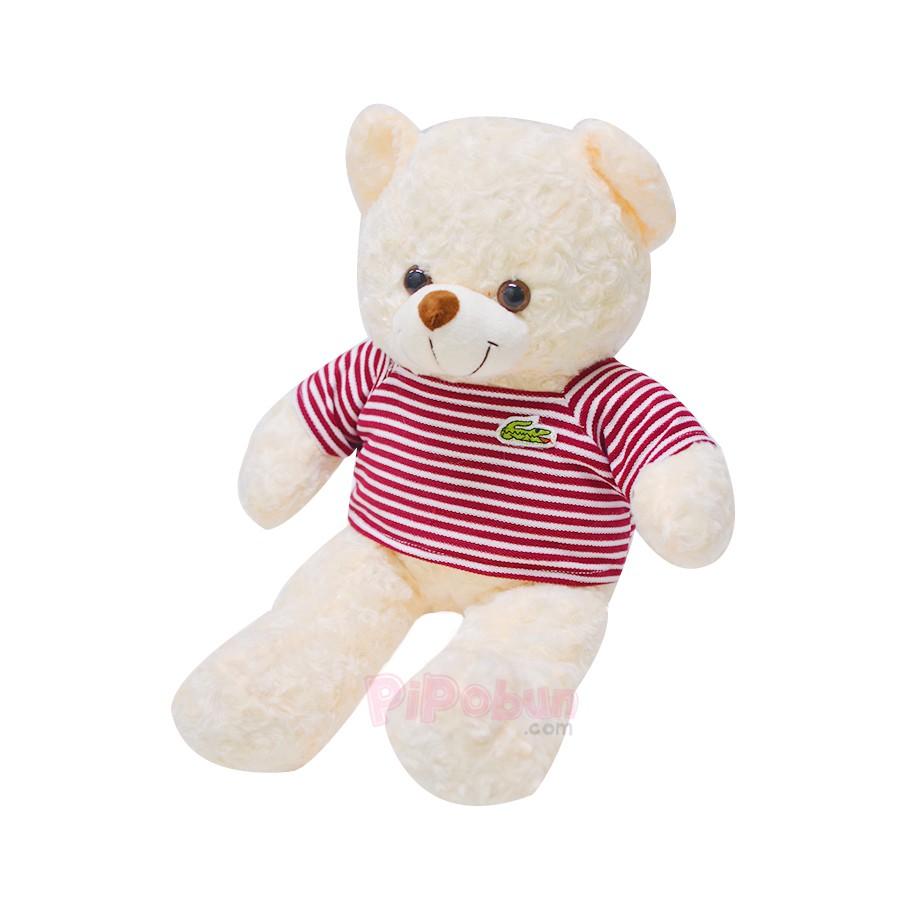 Gấu bông TEDDY màu kem Pipobun size 50cm