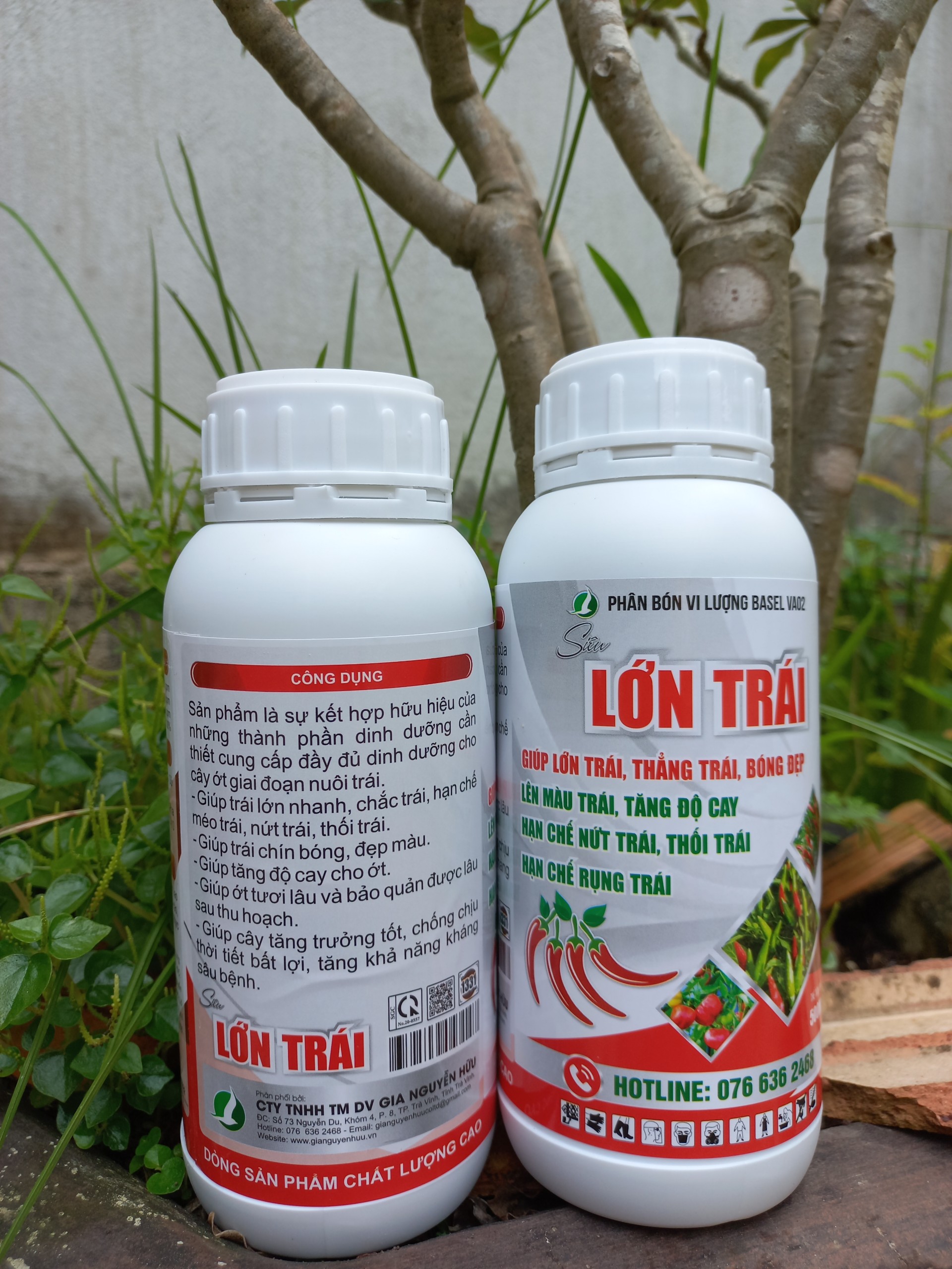 PHÂN BÓN LỚN TRÁI ỚT - GIÚP TRÁI LỚN NHANH, TĂNG ĐỘ CAY, HẠN CHẾ THỐI TRÁI CHAI 500ML