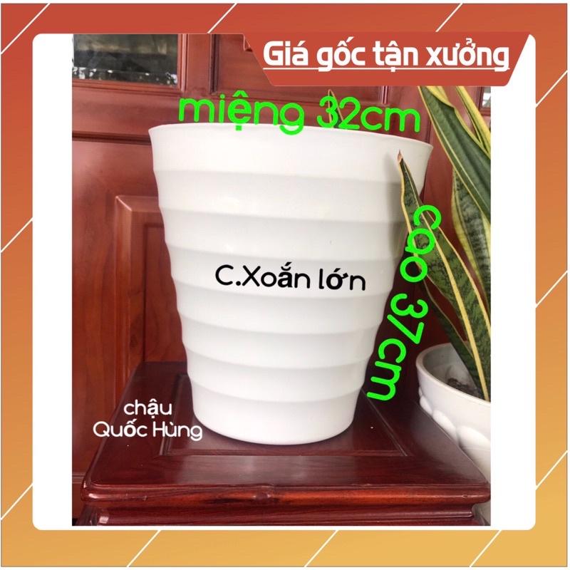 Chậu nhựa trồng cây Xoắn bé - Xoắn Lớn