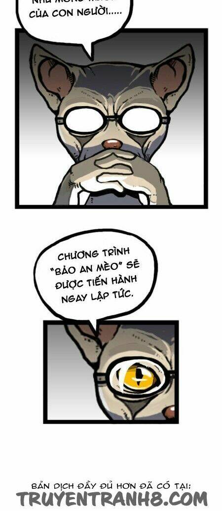 earth, human, and animal chapter 21 20