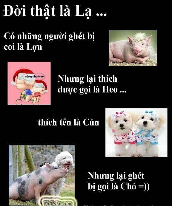 rage comic-troll chapter 78 10