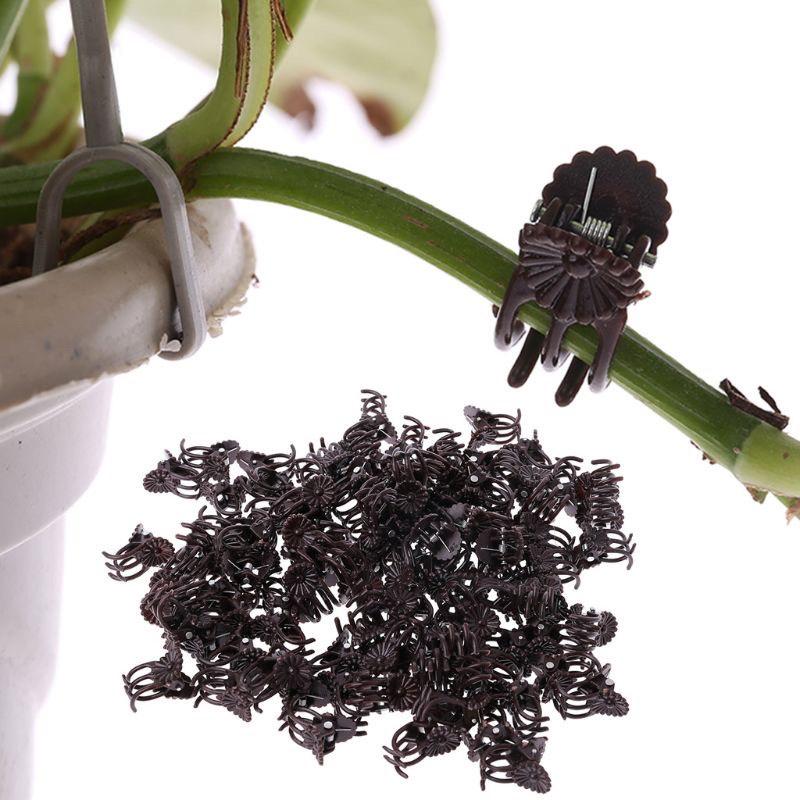 50 Kẹp Hình Con Bướm Dùng Để Kẹp Cành Cây, Cành Hoa Lan - Màu Nâu