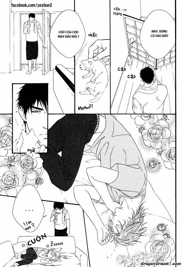 người nuôi mèo và bác sĩ thú y chapter 2 23