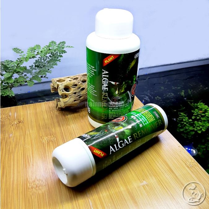 ISTA Premium Algae Remover | Chế Phẩm Diệt Rêu Hại Cho Bể Thuỷ Sinh