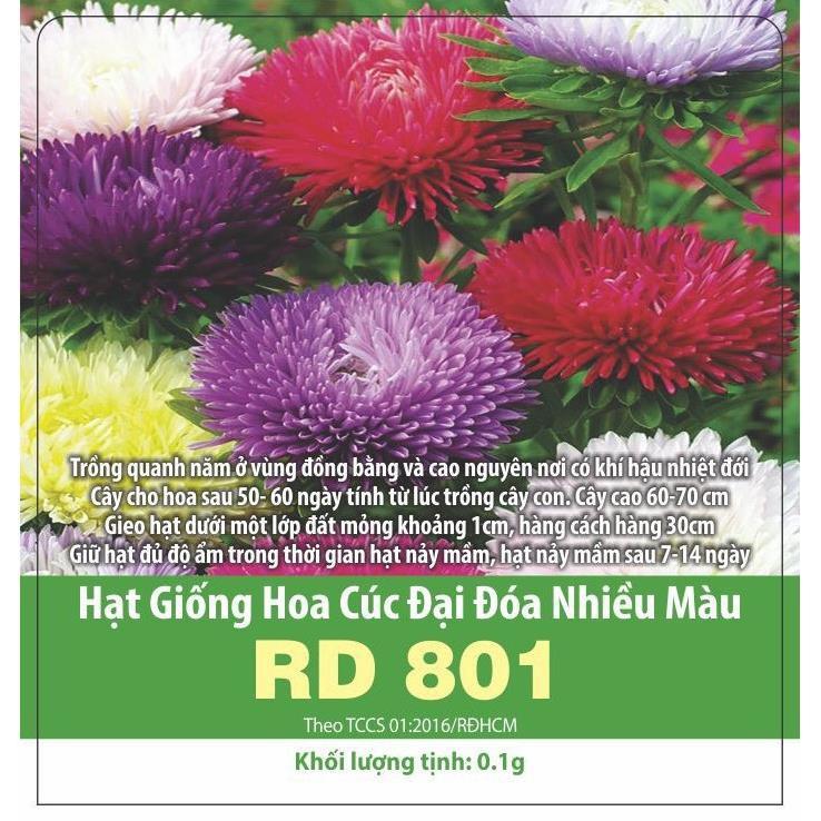 Hạt Giống Hoa Cúc Đại Đóa Nhiều Màu RD801 Gói 20 Hạt
