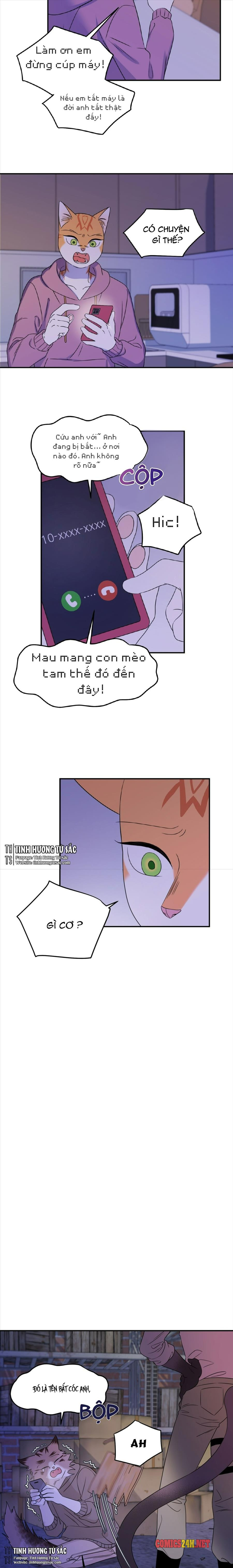 dự án xanh chapter 16 5