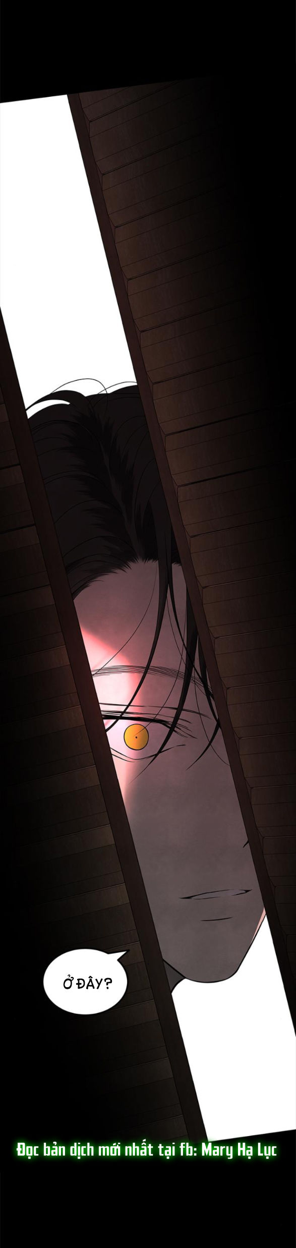 Cạm Bẫy chapter 153.2 35