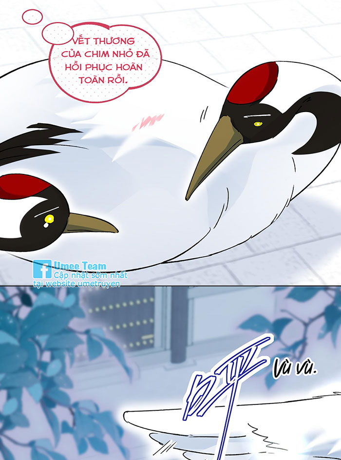 tôi phải làm một kẻ đại xấu xa chapter 114 27